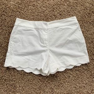 NWT Loft Shorts